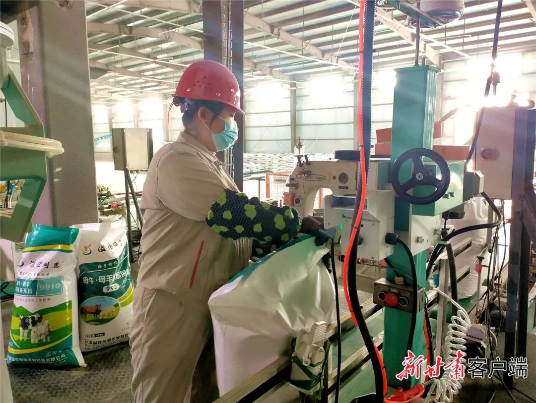 FZ007219653563_A3653910 图片