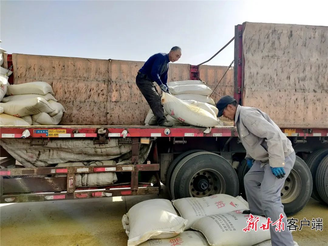 FZ007219653563_A3653911 图片