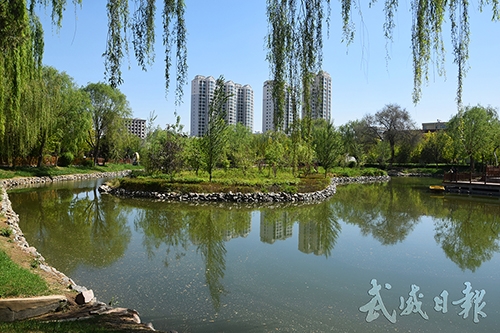 03.jpg