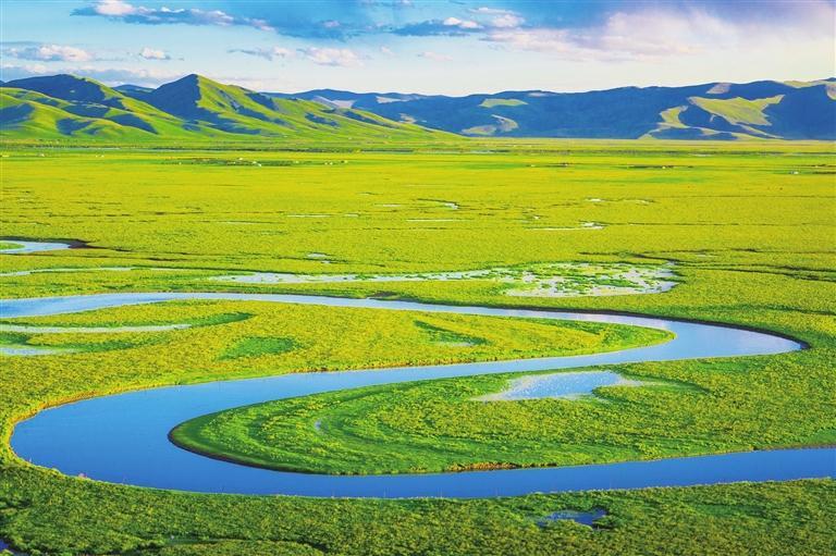 1749088192402954.jpg 2.jpg