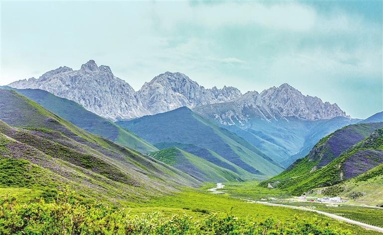 1749088243218884.jpg 4.jpg