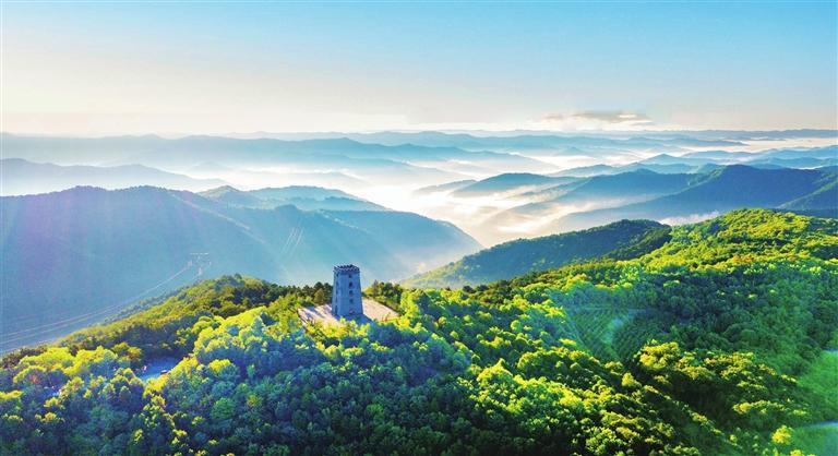 1749088275733321.jpg 5.jpg