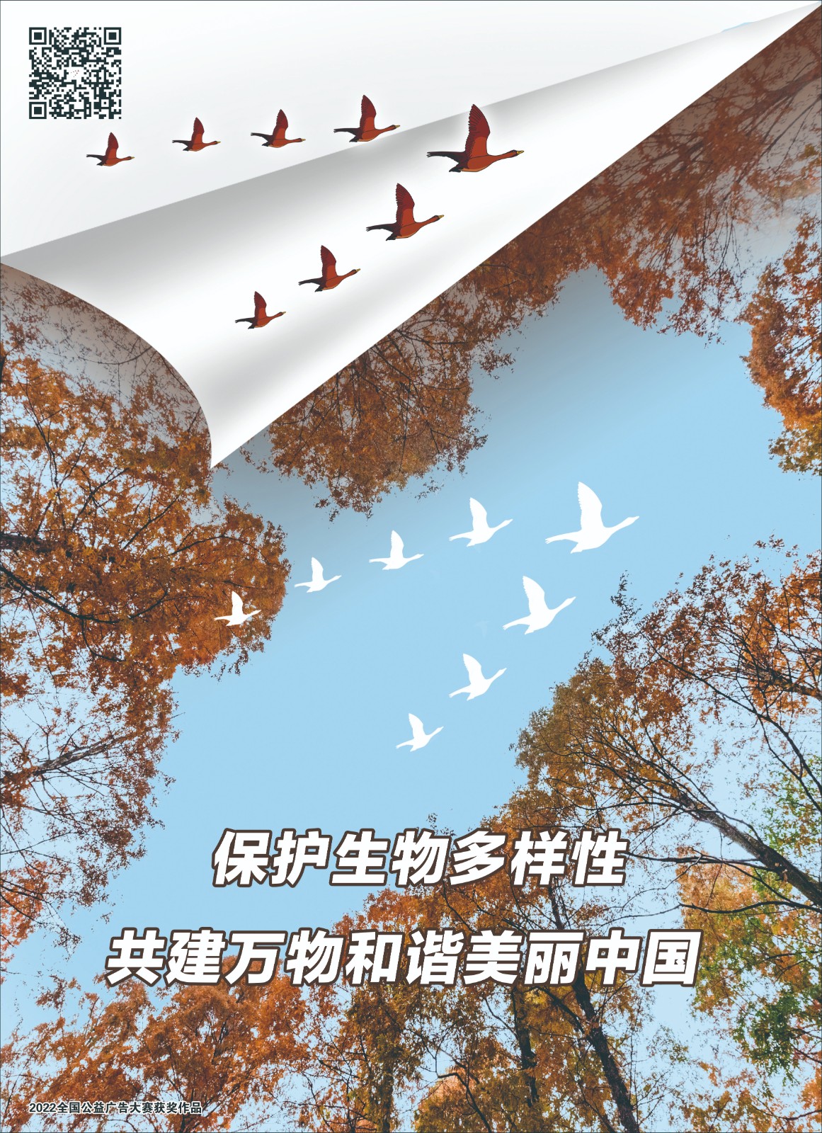【001】063-生物多样性-3.jpg